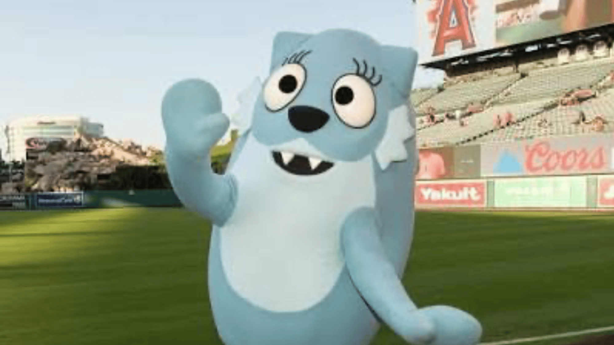 Toodee's Baseball Day