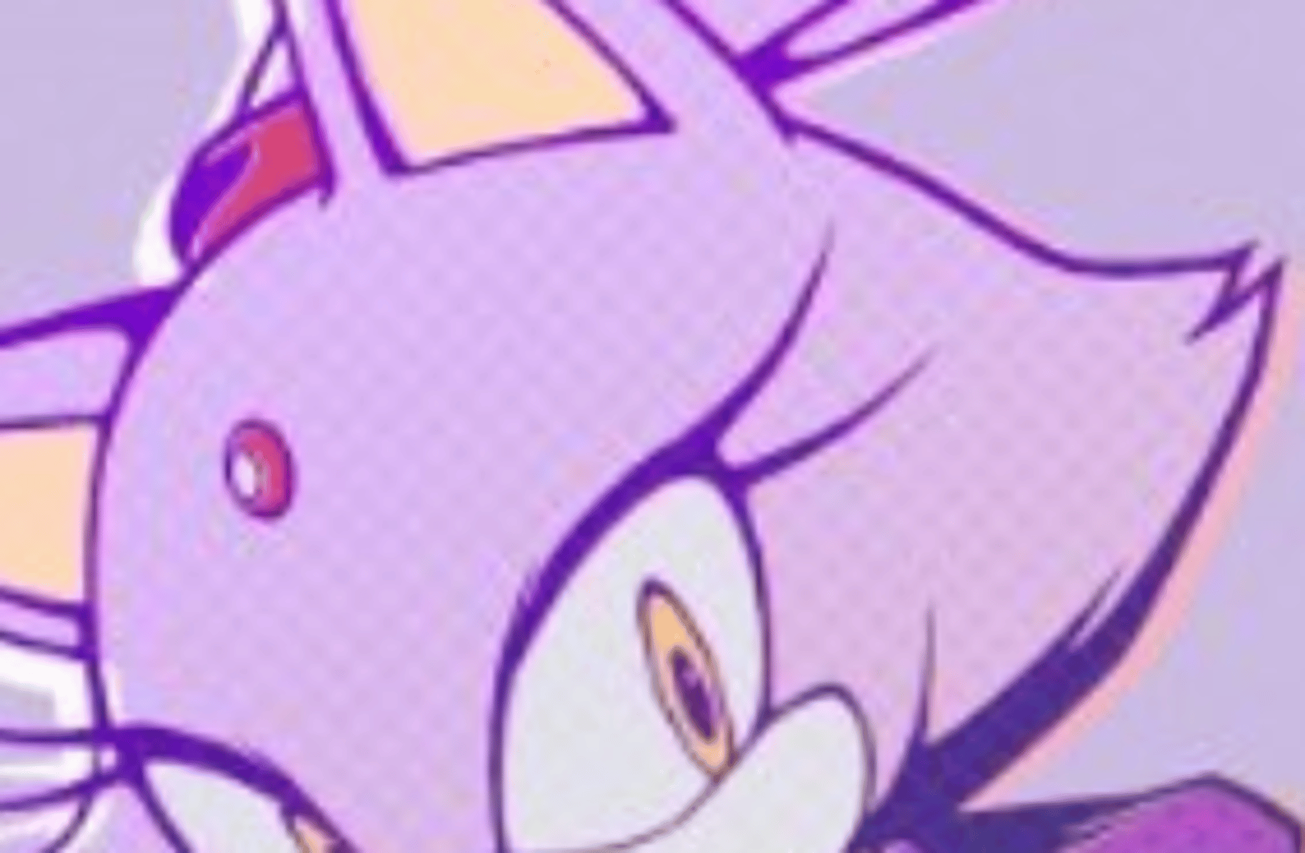 Blaze the cat