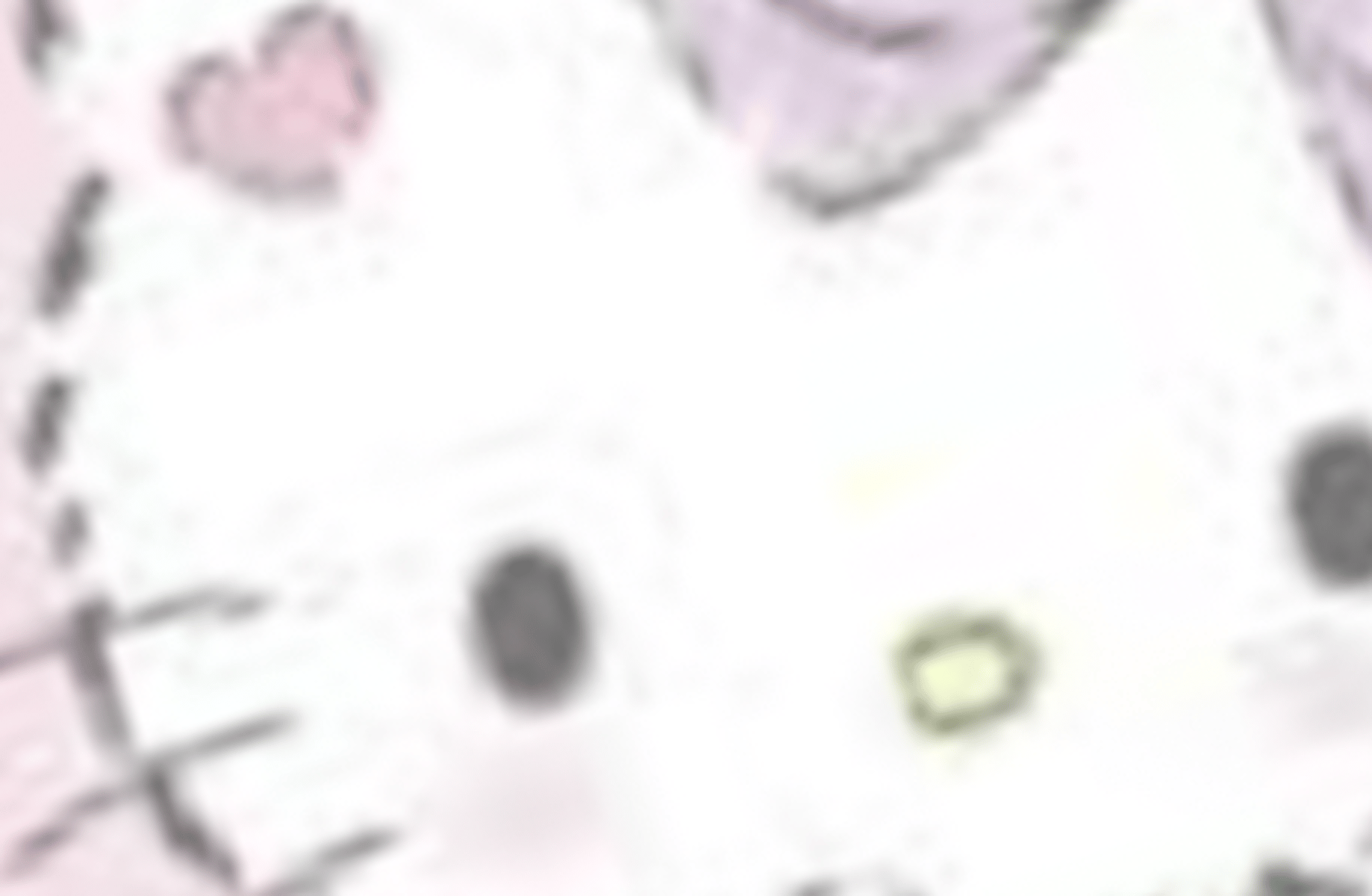 Hellokitty