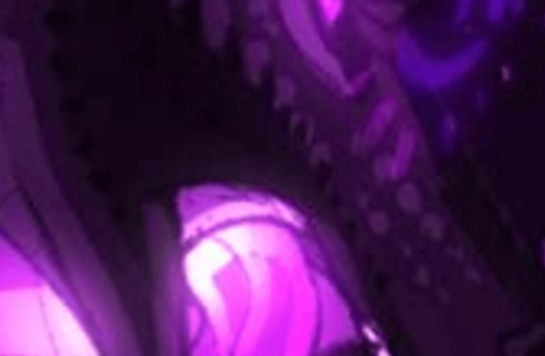 Mommy Ender Dragon