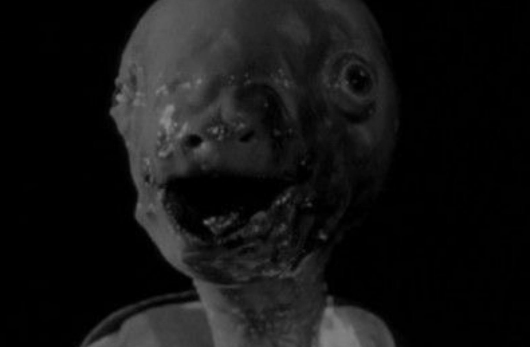 Eraserhead Baby