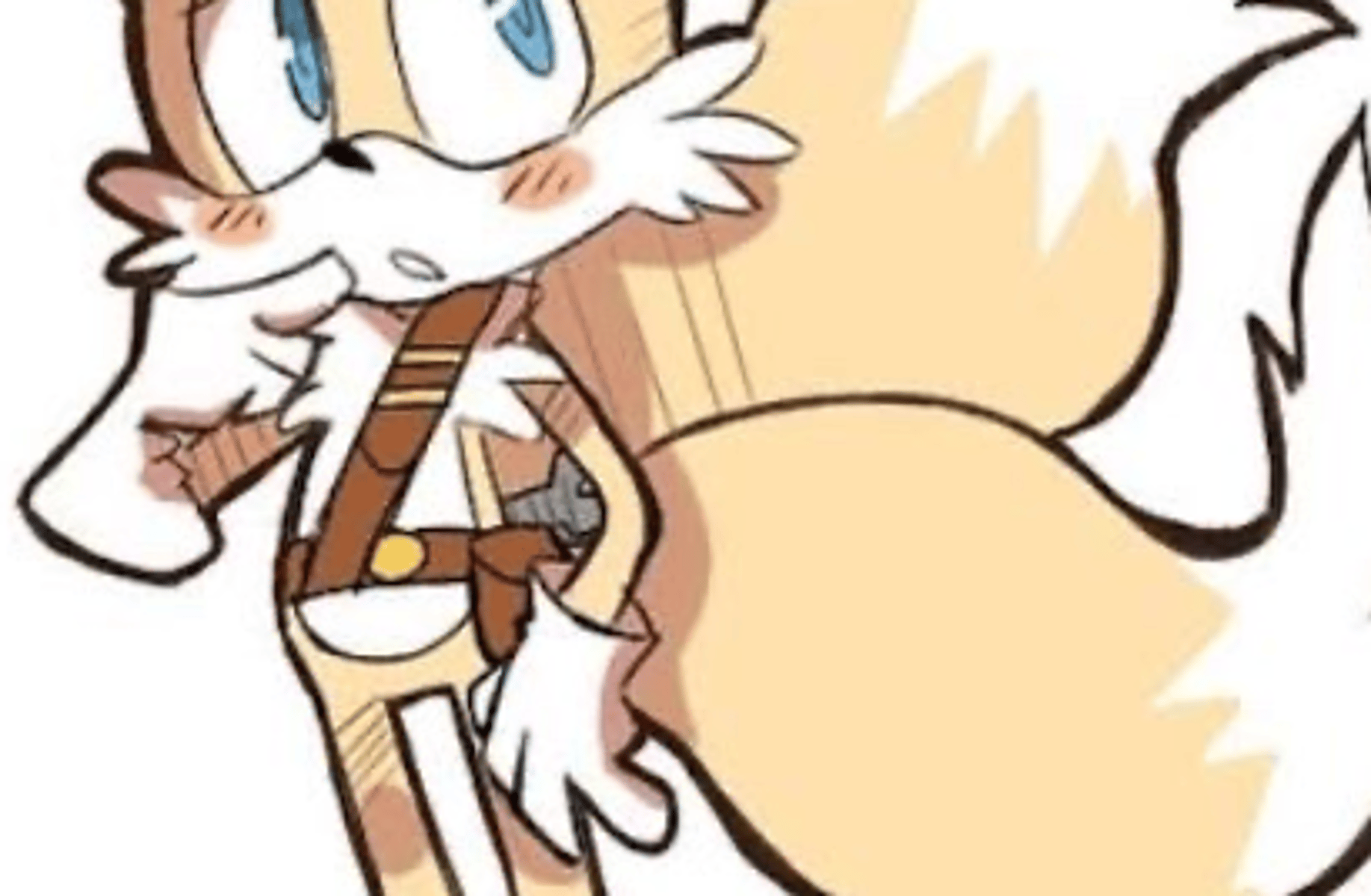 Tails-sonic boom