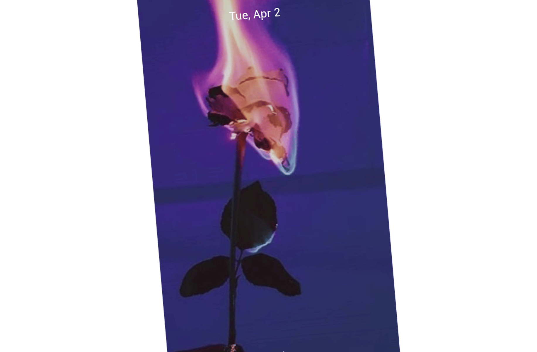 Alastor