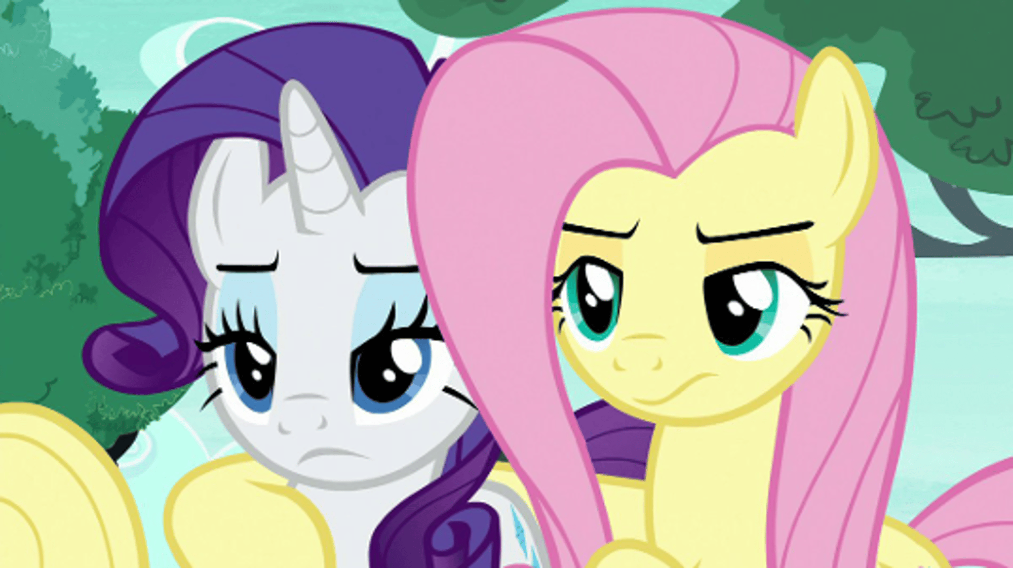 Rarity and Fluttershy