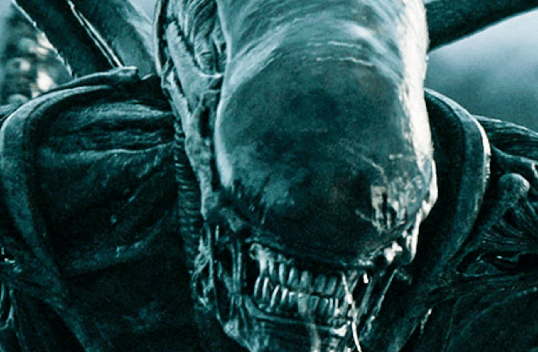 Xenomorph rpg