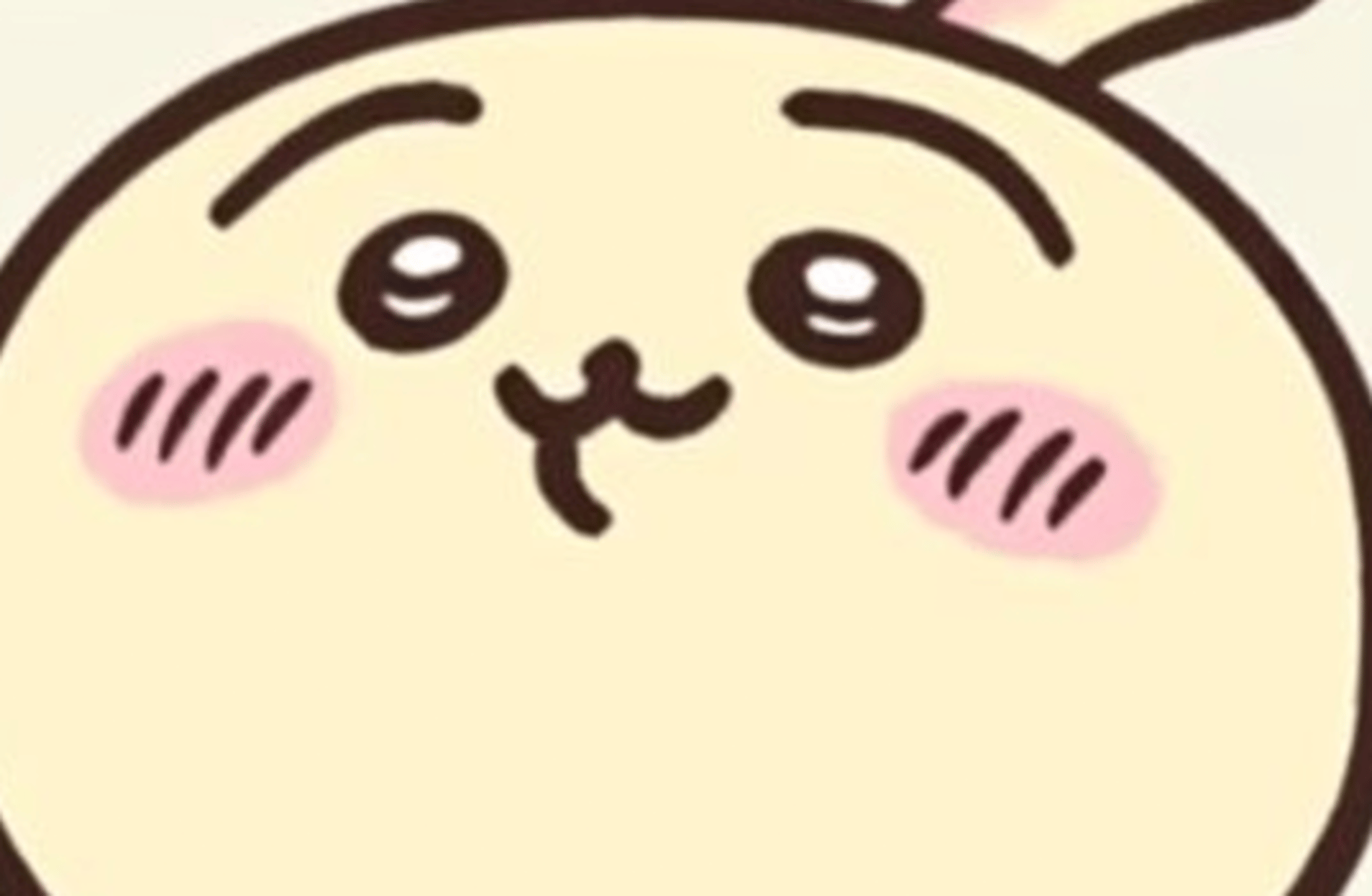 Usagi