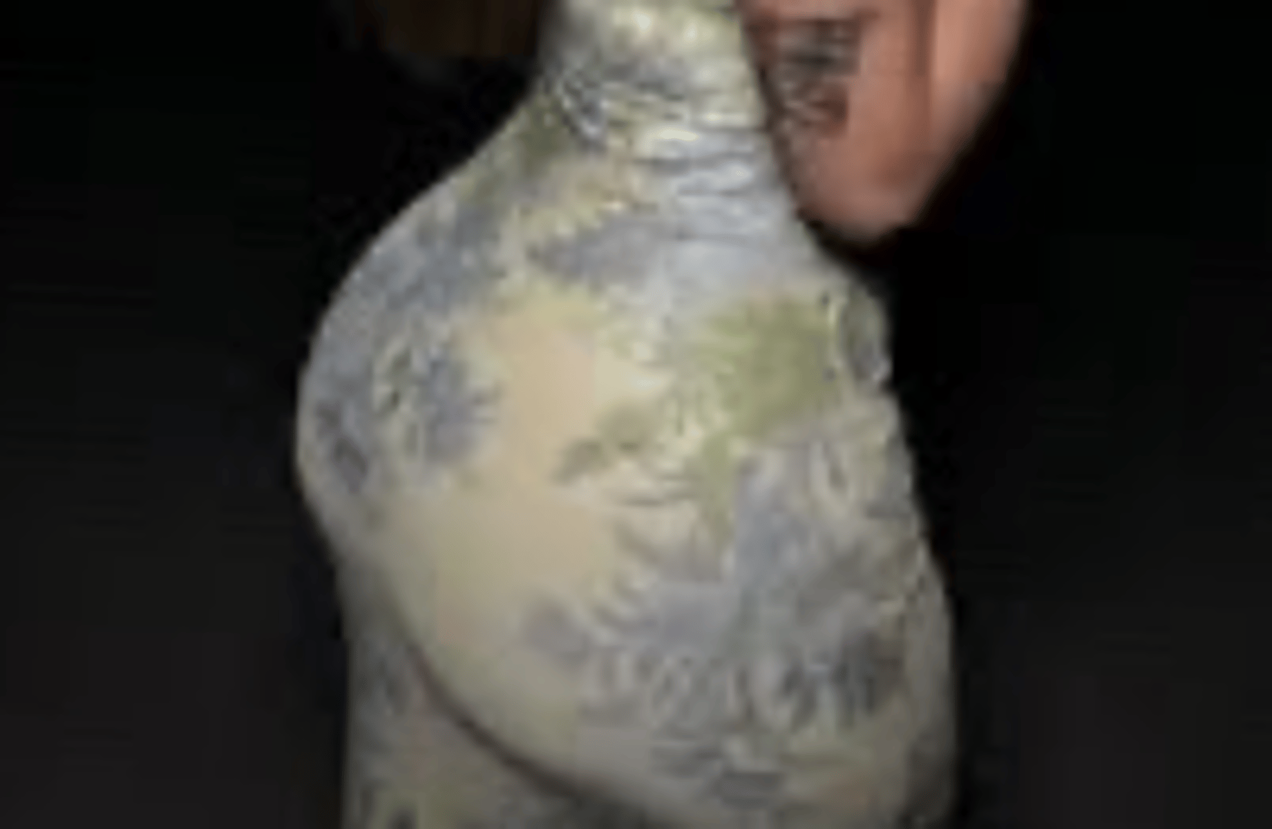 Sophie rain