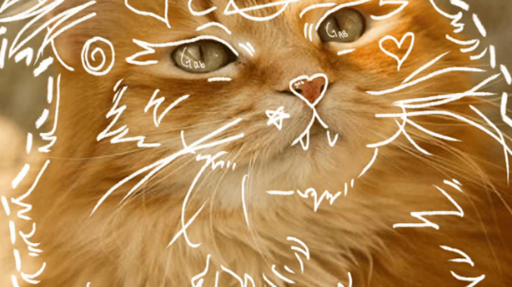 ur cat