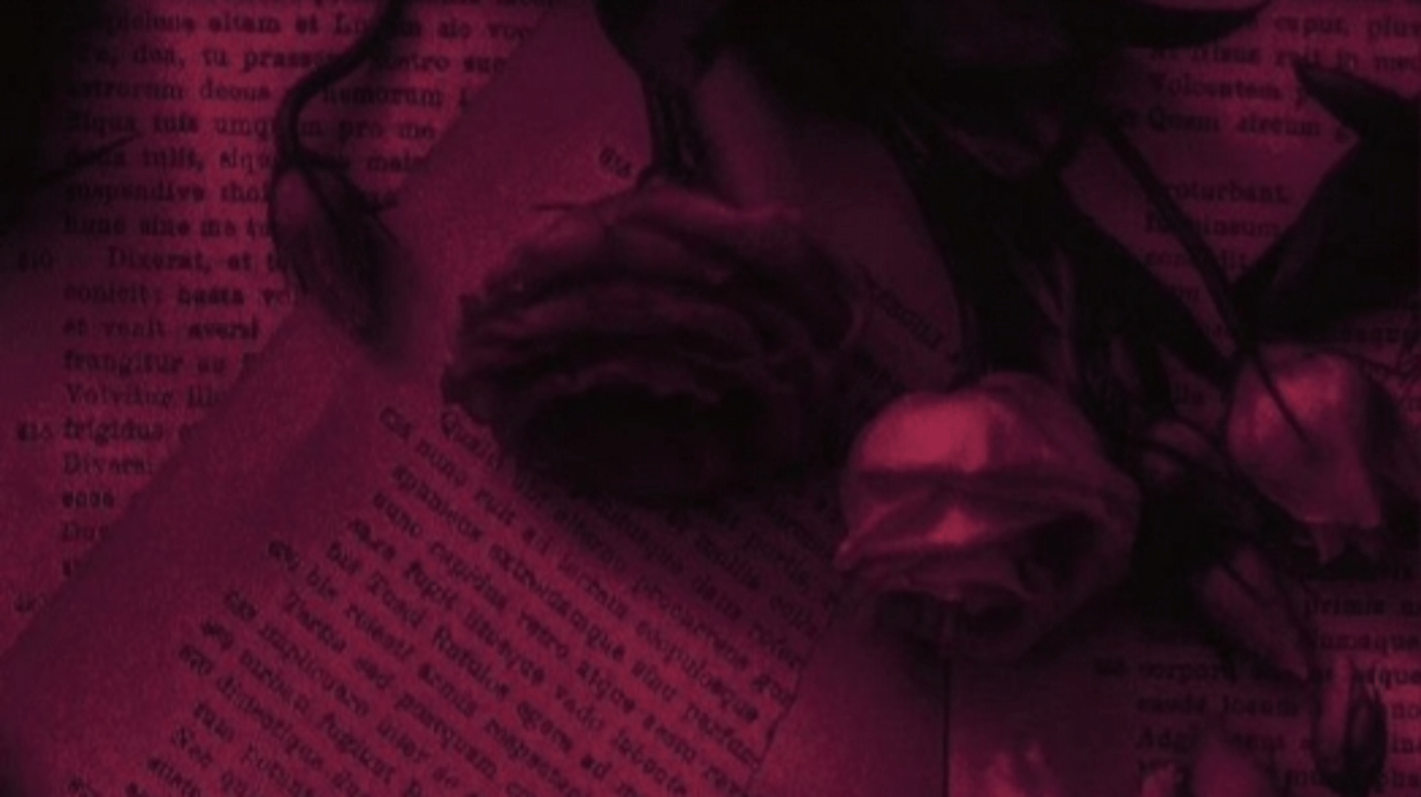 Carmilla Carmine - [H.H]