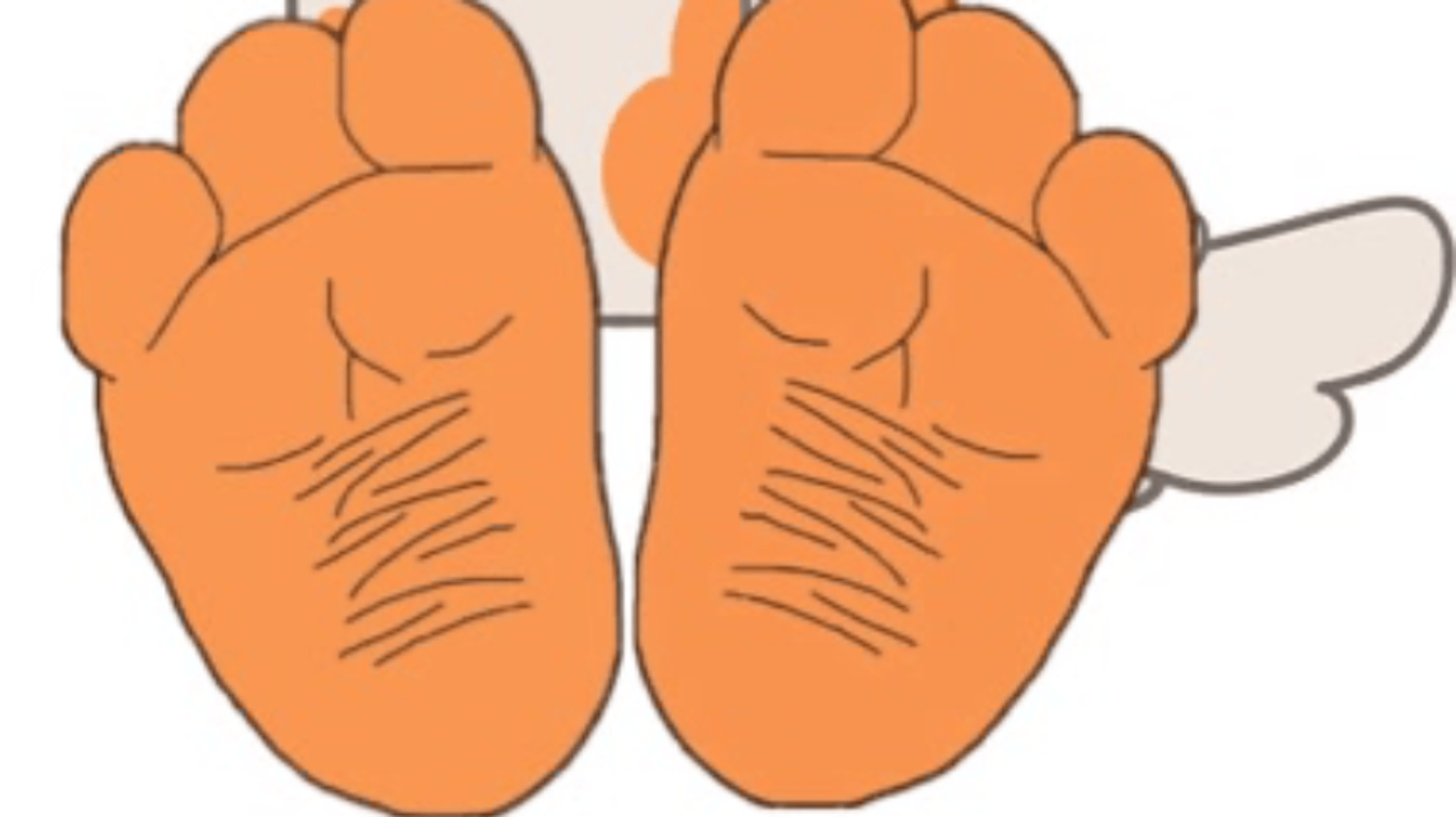 Mia feet