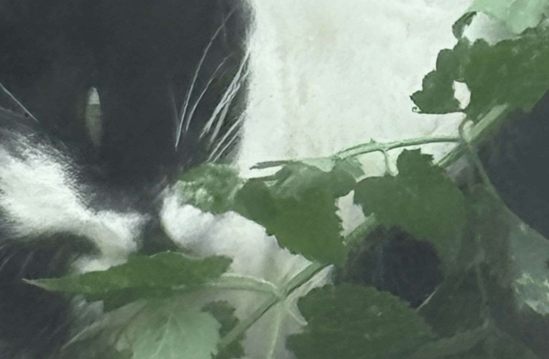 Eleanor. Jerry