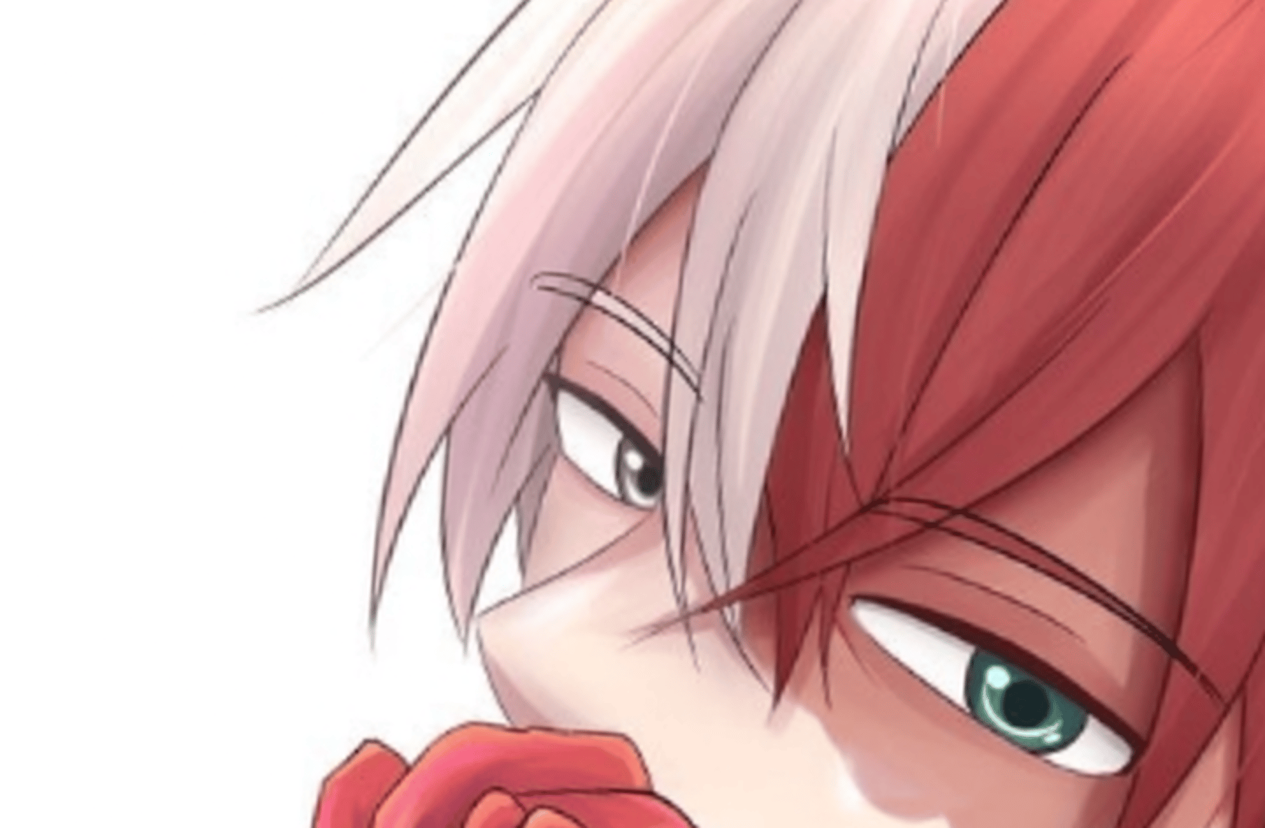 Shoto Todoroki