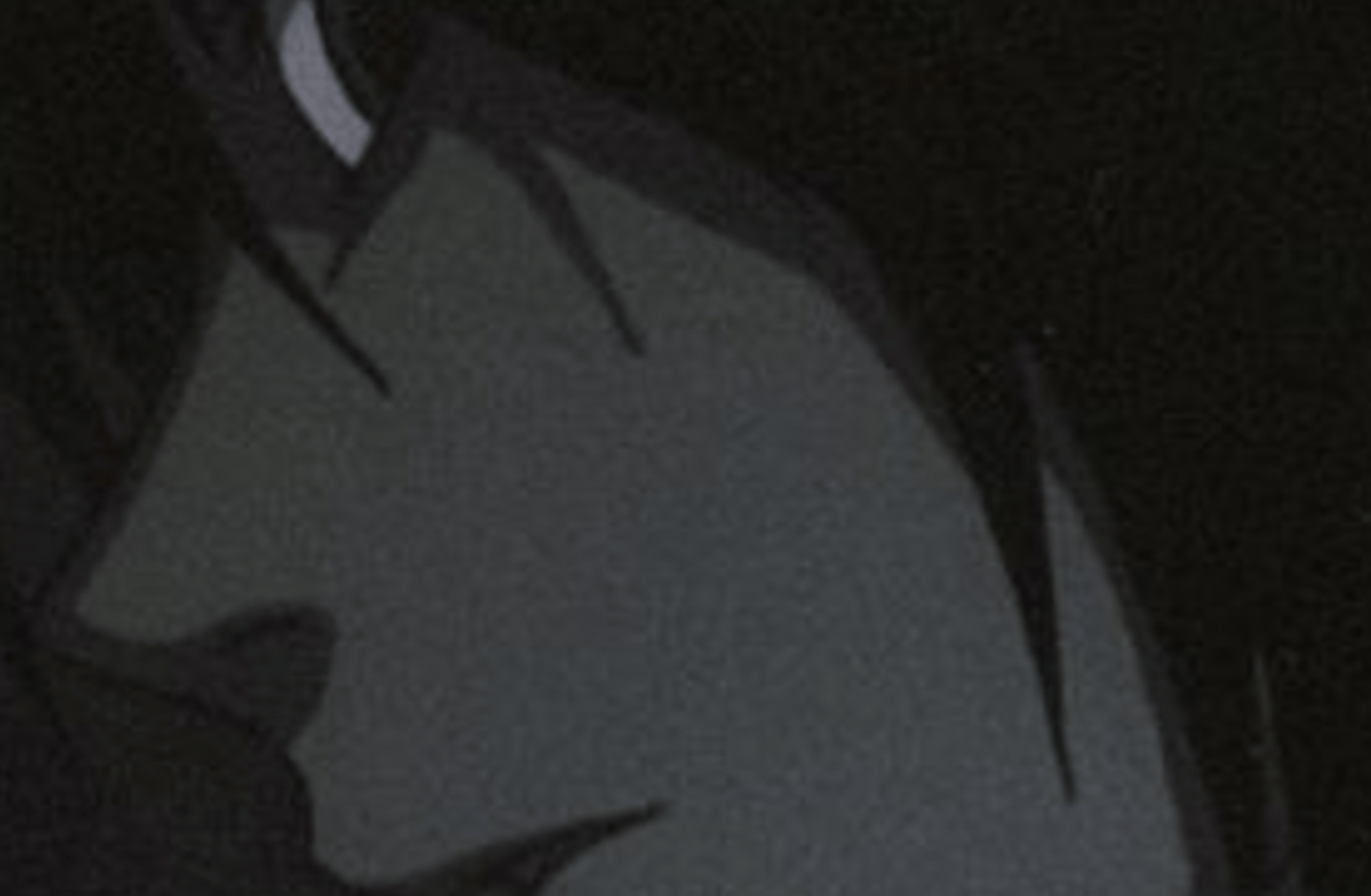 Hideki ryuzaki