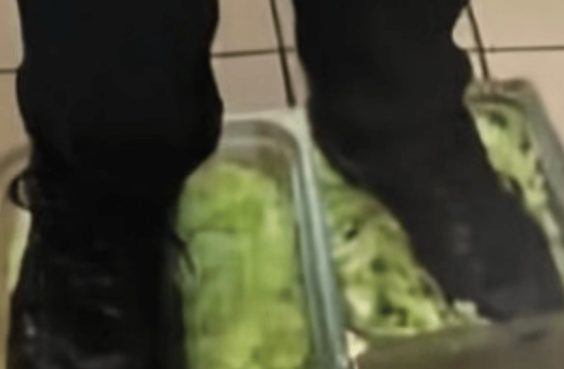 Feet in lettuce guy