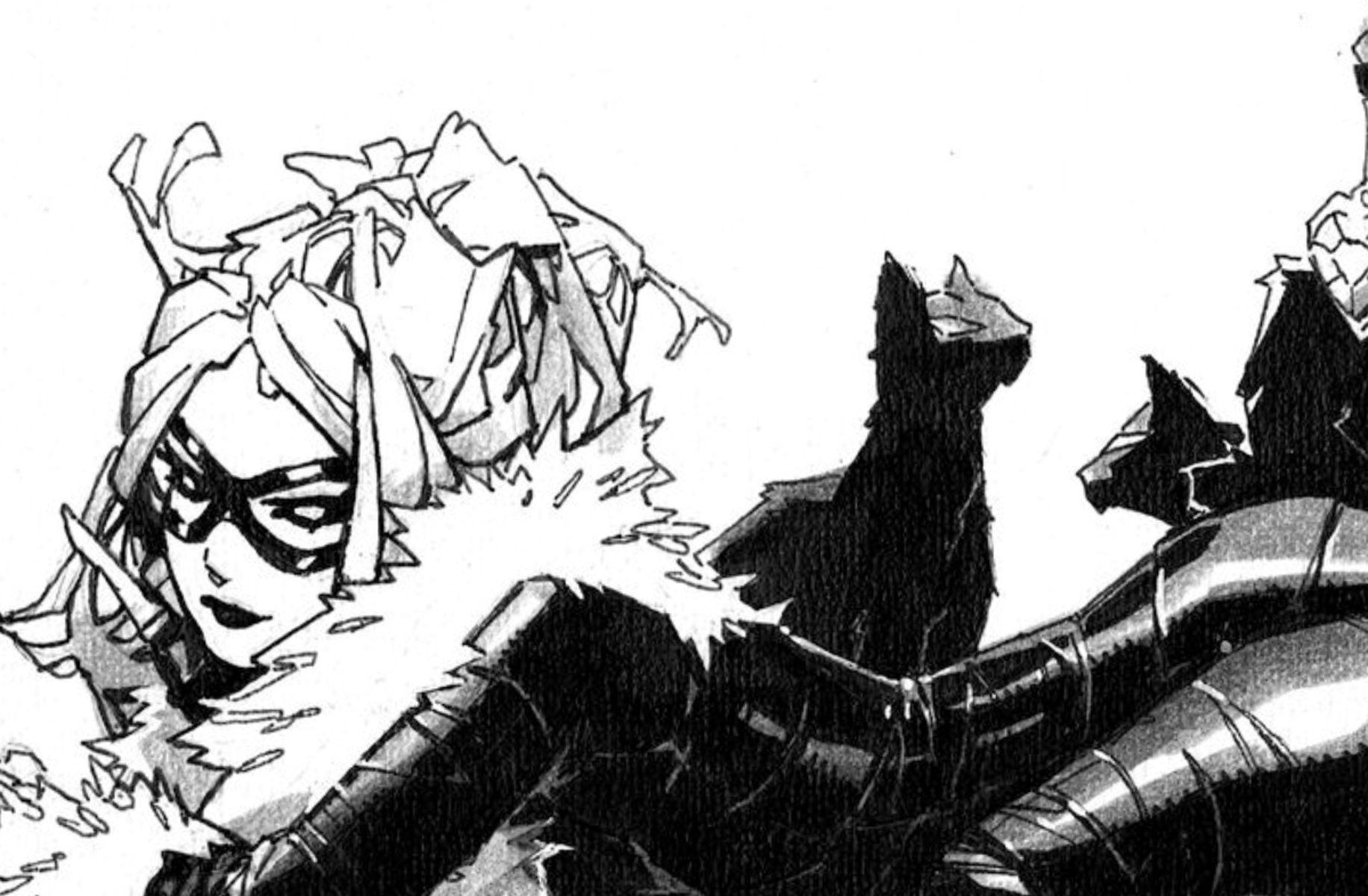 Black Cat