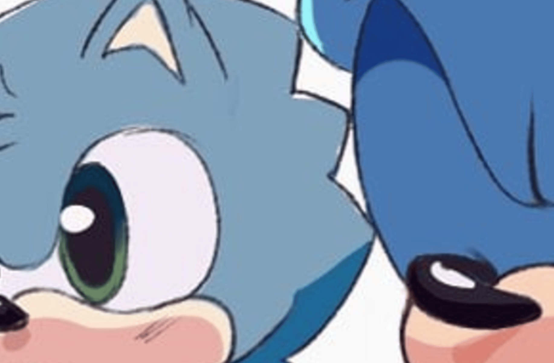 Sonic the hedgehog