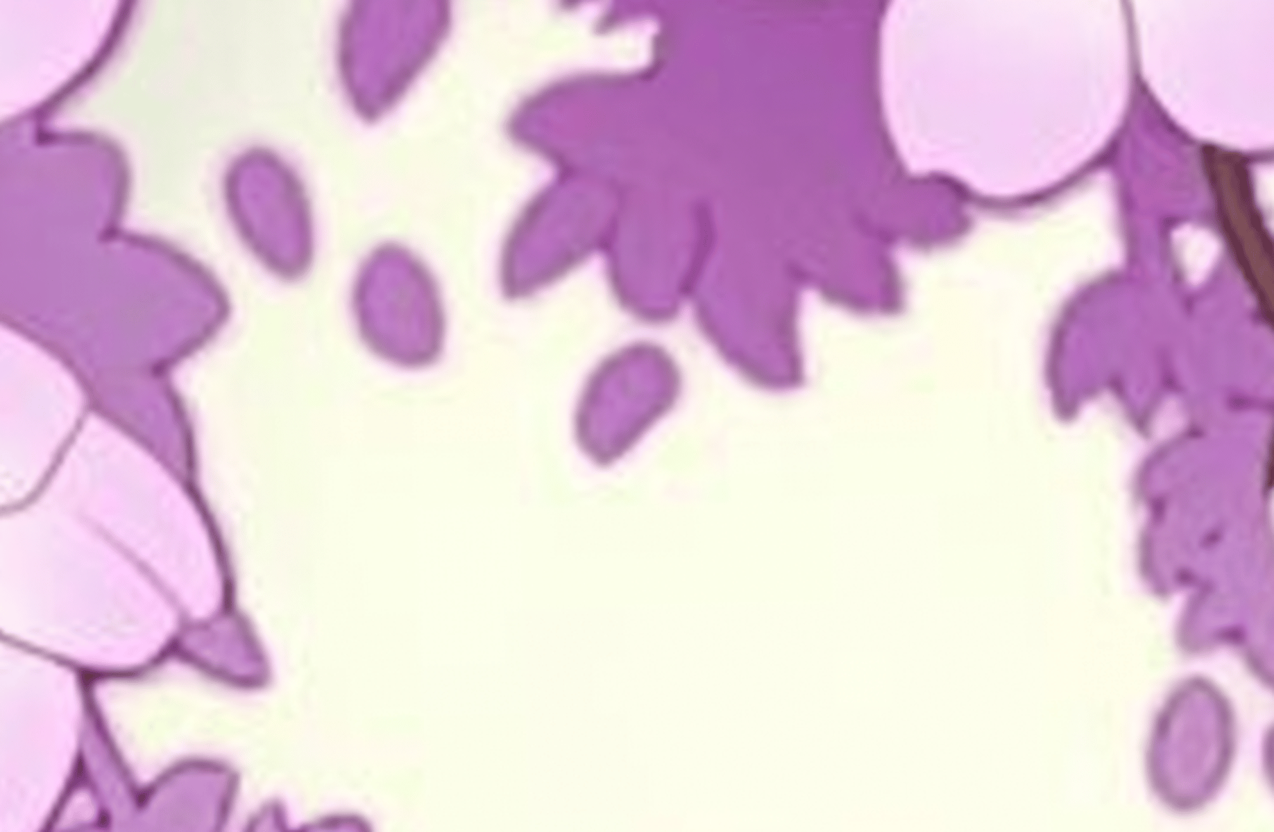 Kunikida