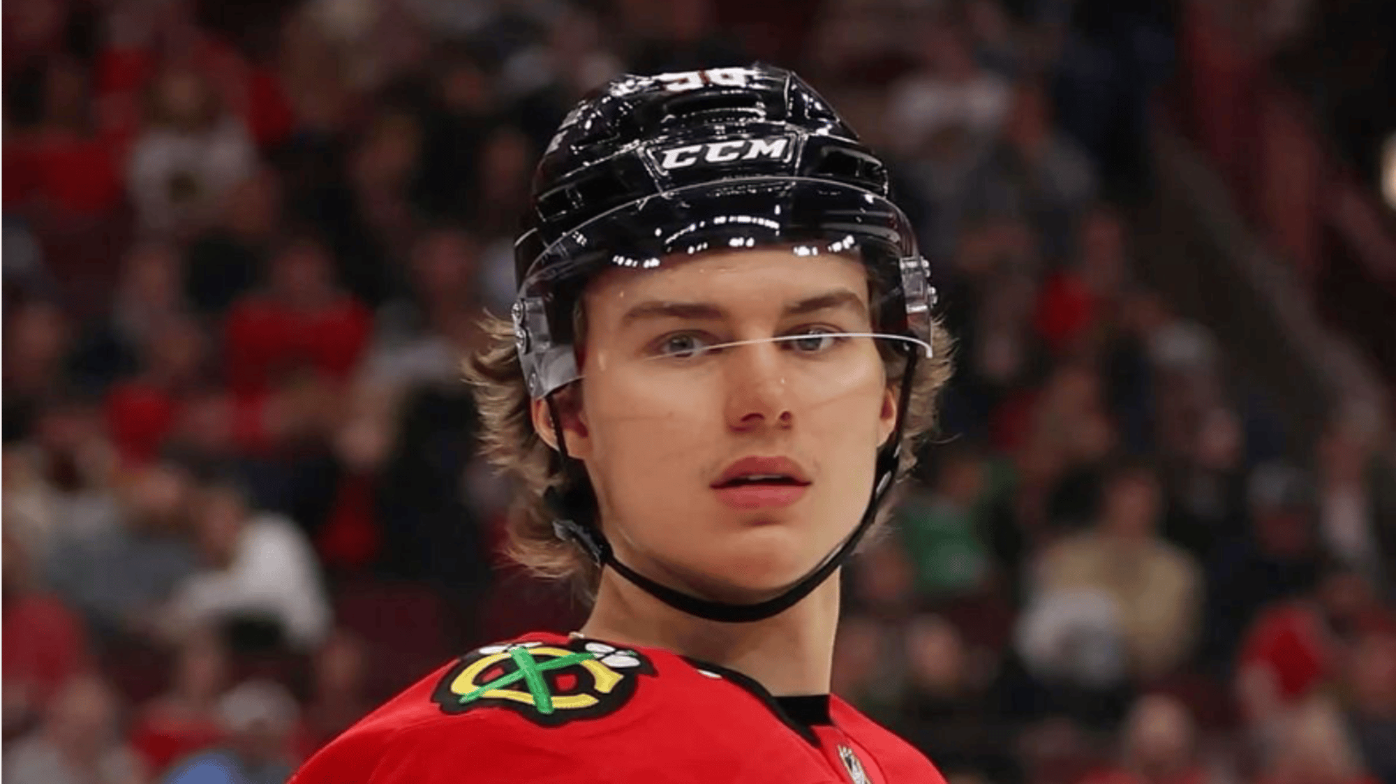 Connor bedard