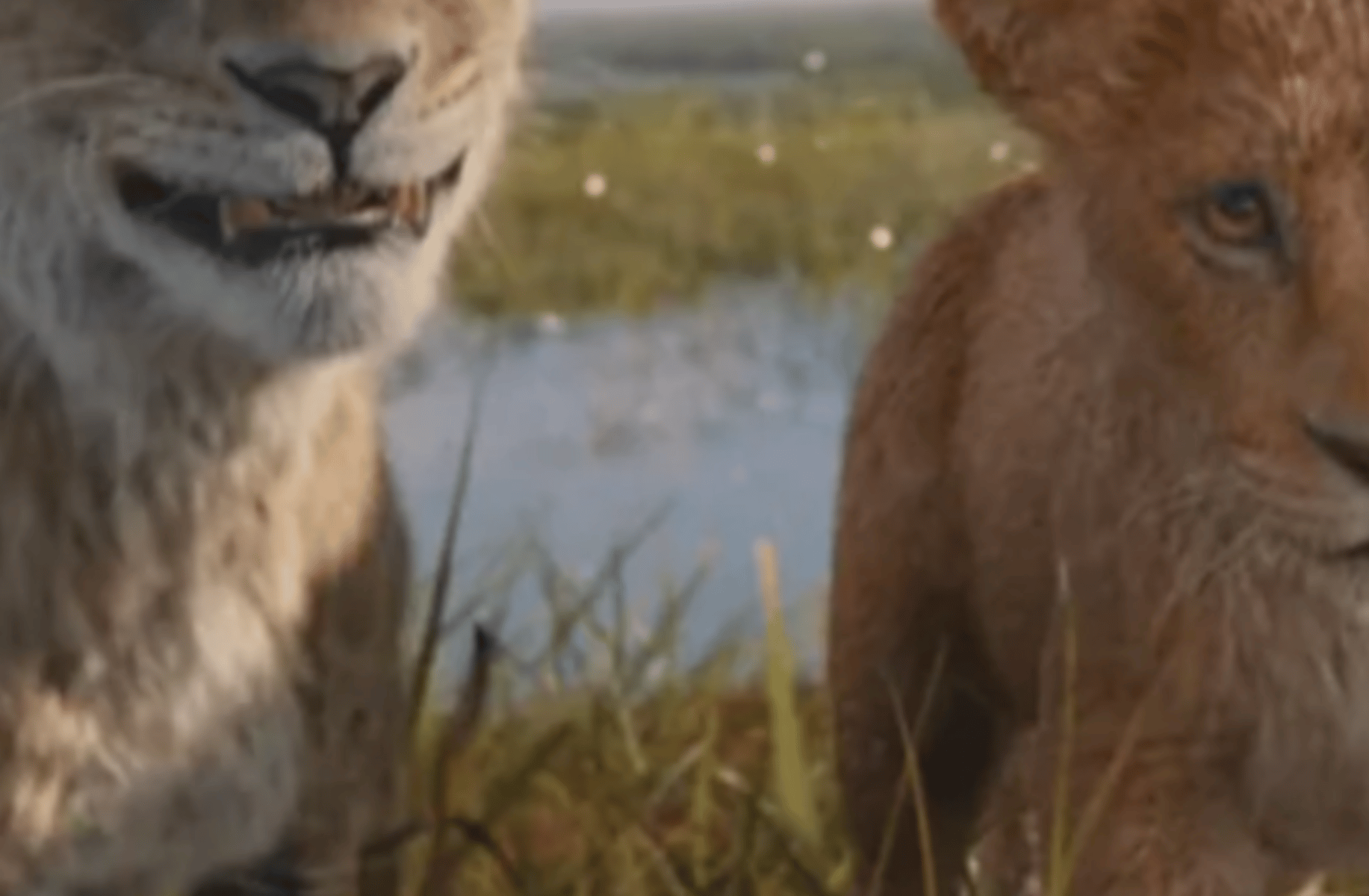 Taka (Mufasa)