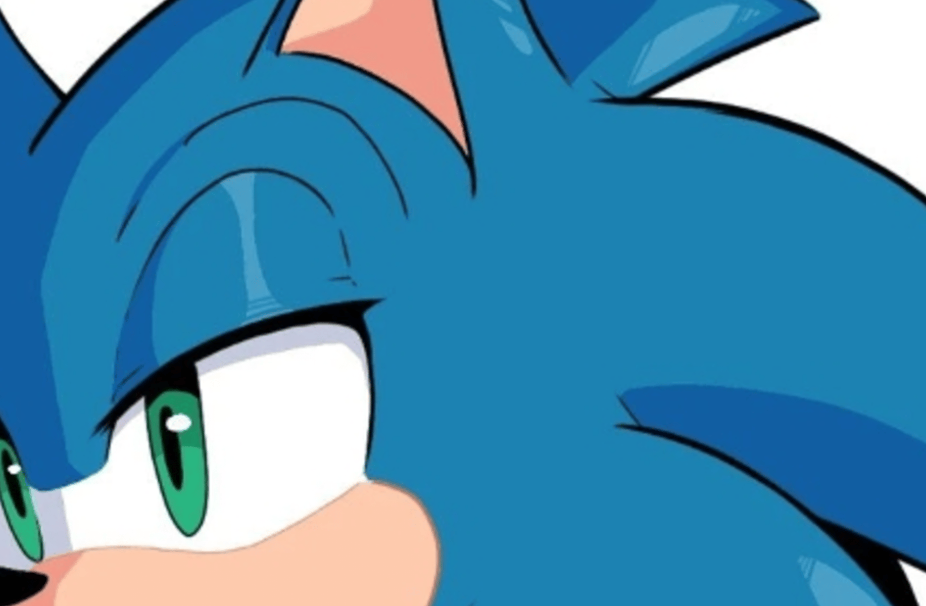 Sonic (FUTURE)