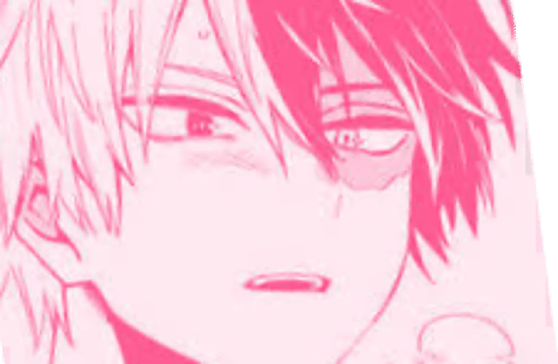 shoto todoroki