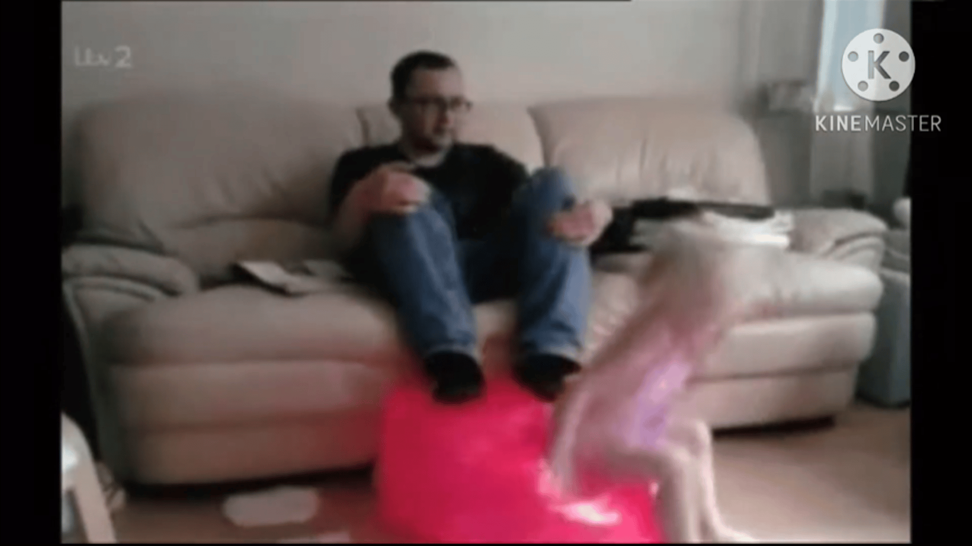 Boy
