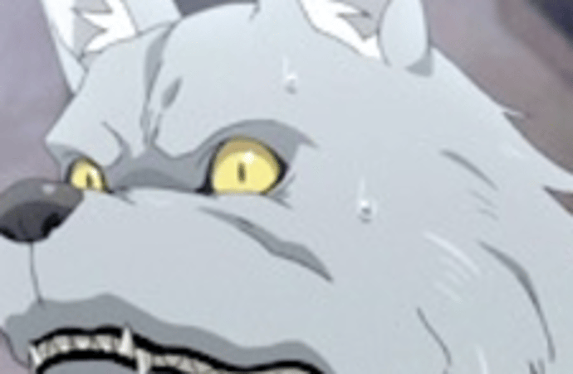Wolfang
