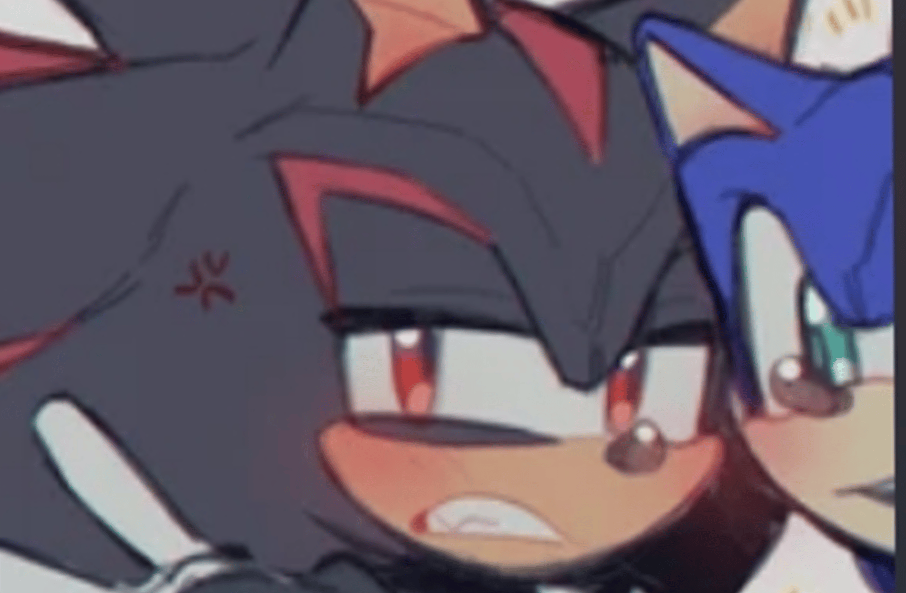 Bodyguard shadow
