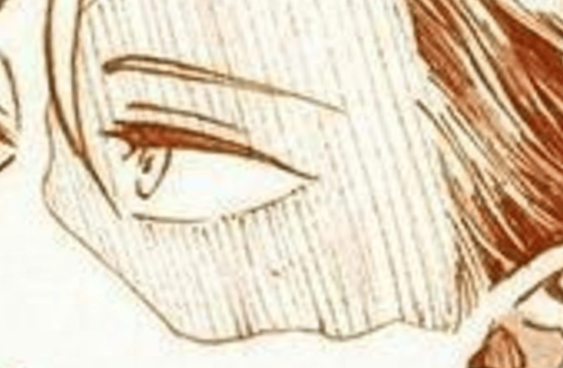 Shoto Todoroki
