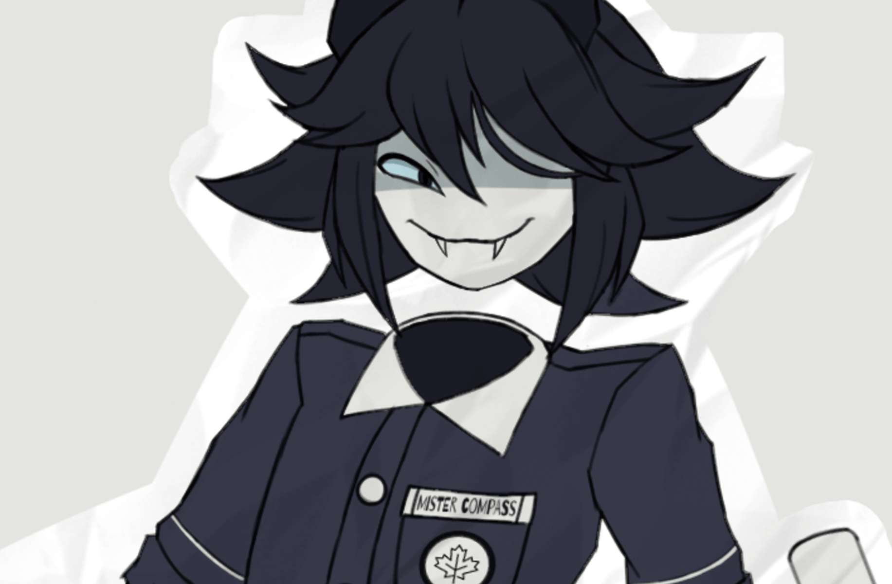 Mister compass