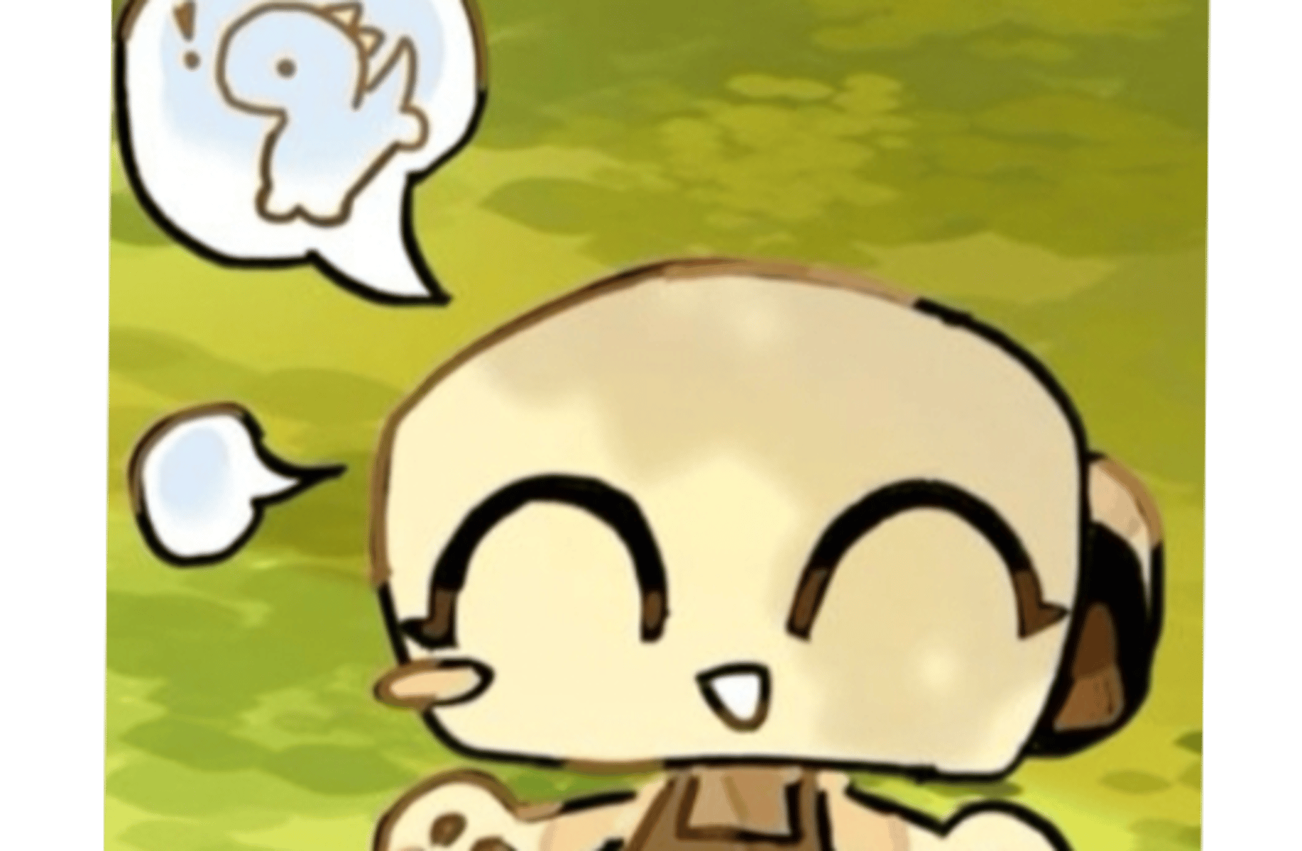 Shelly (DW