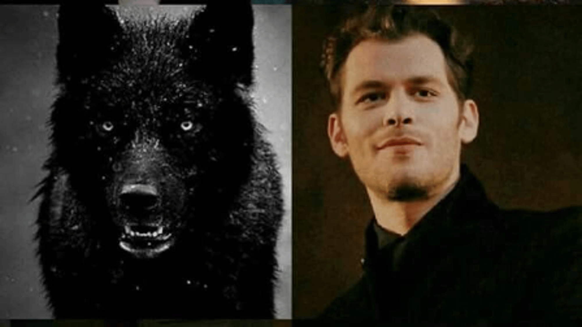 Klaus Mikaelson