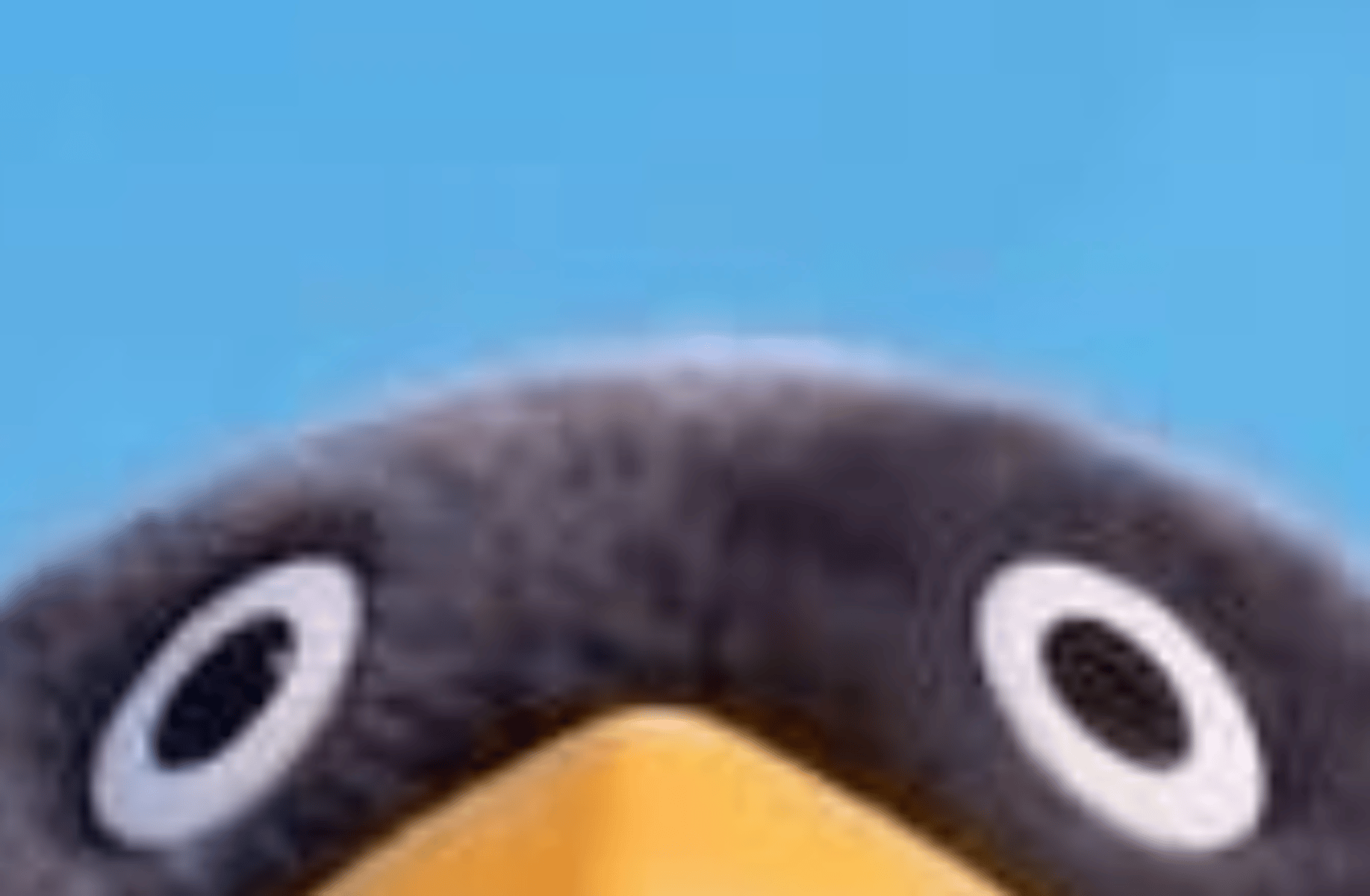 *Gugu Gaga penguins*