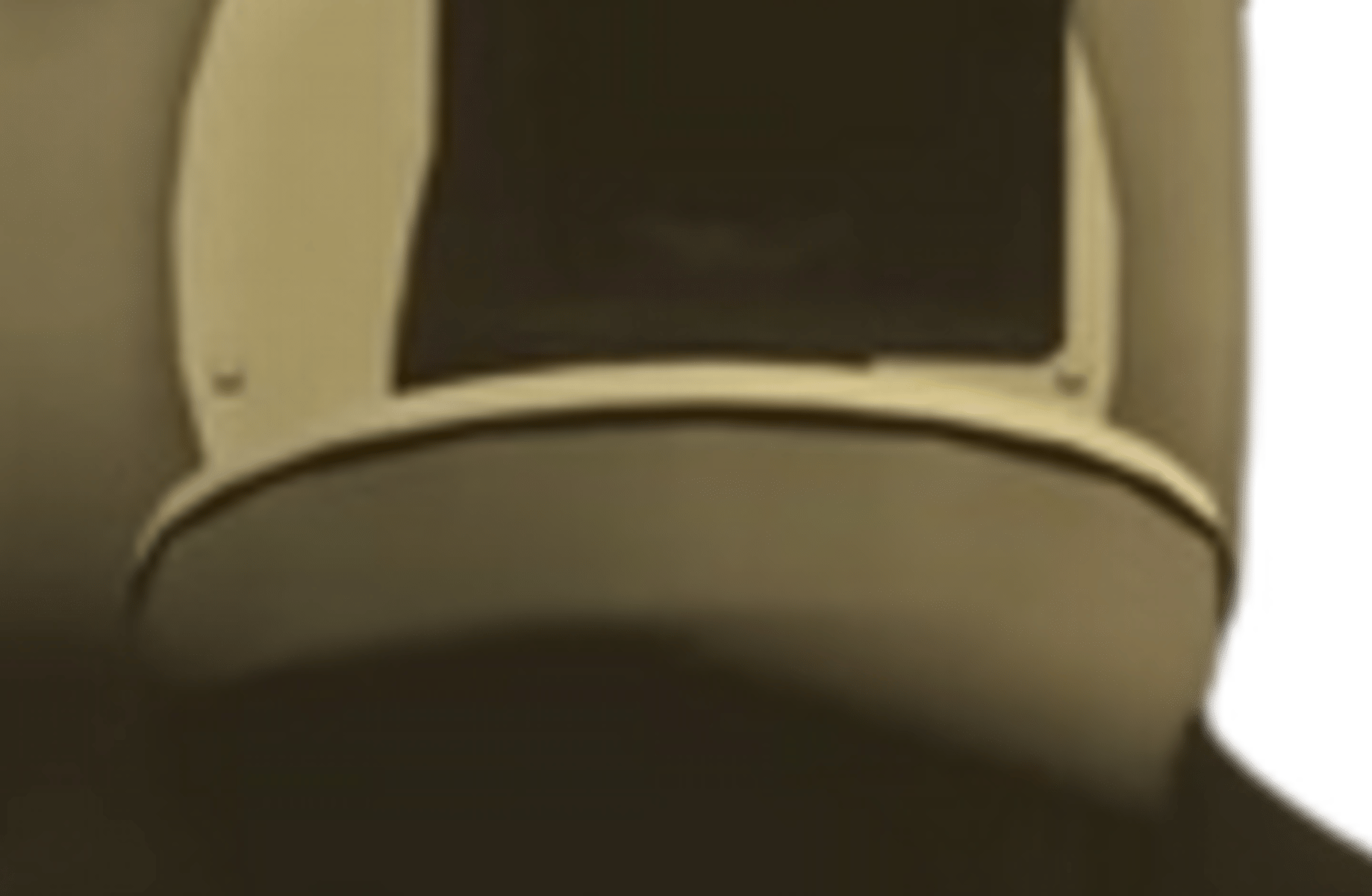 Bipedal Camera Toilet