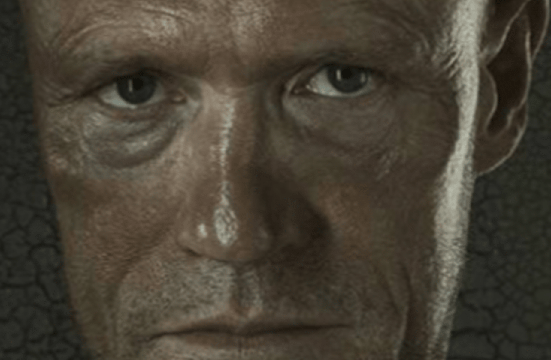 Merle dixion