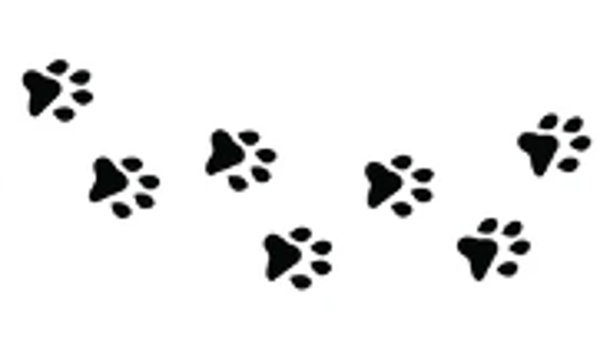 Your Puppies