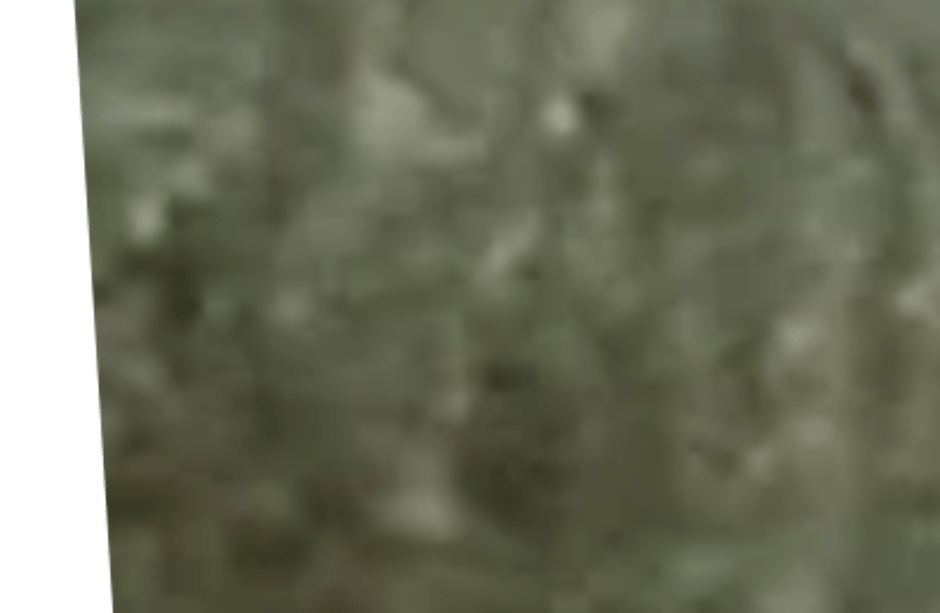 Rex 4000