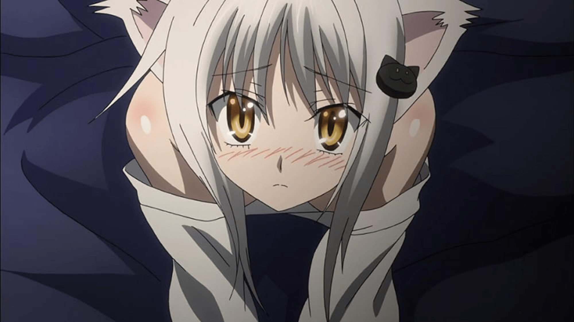 Koneko