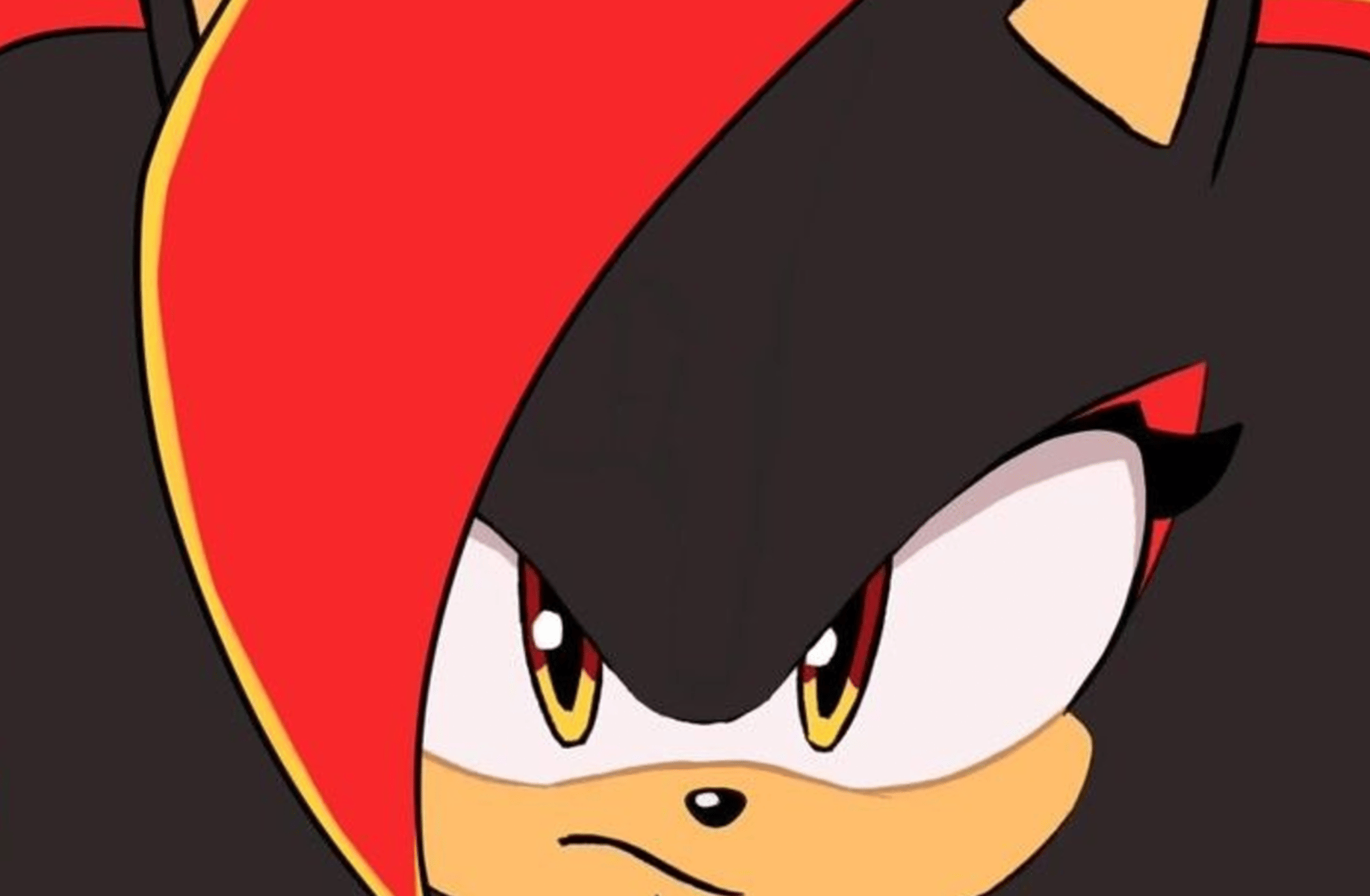 Shady The hedeghog