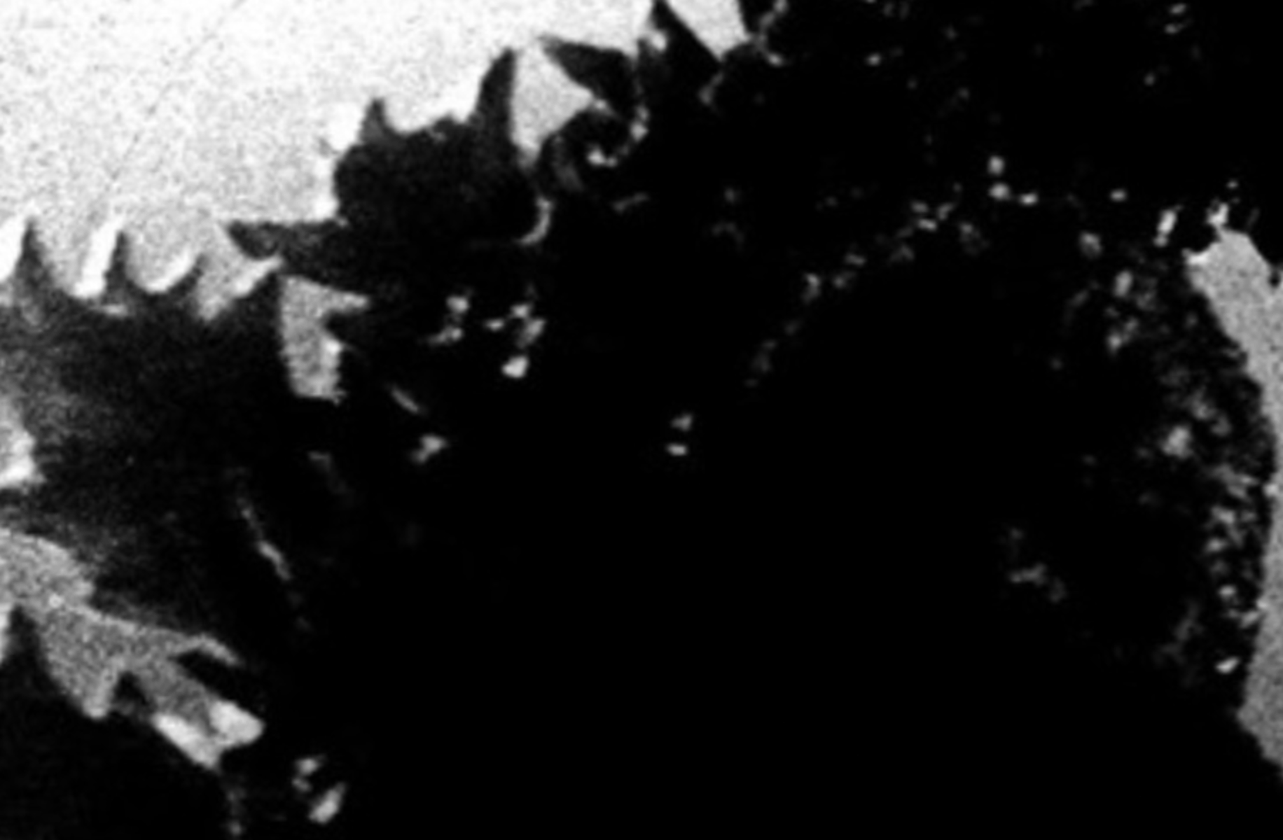 Godzilla