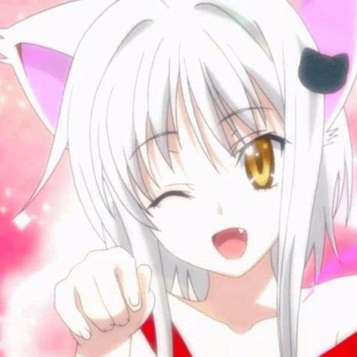 Koneko