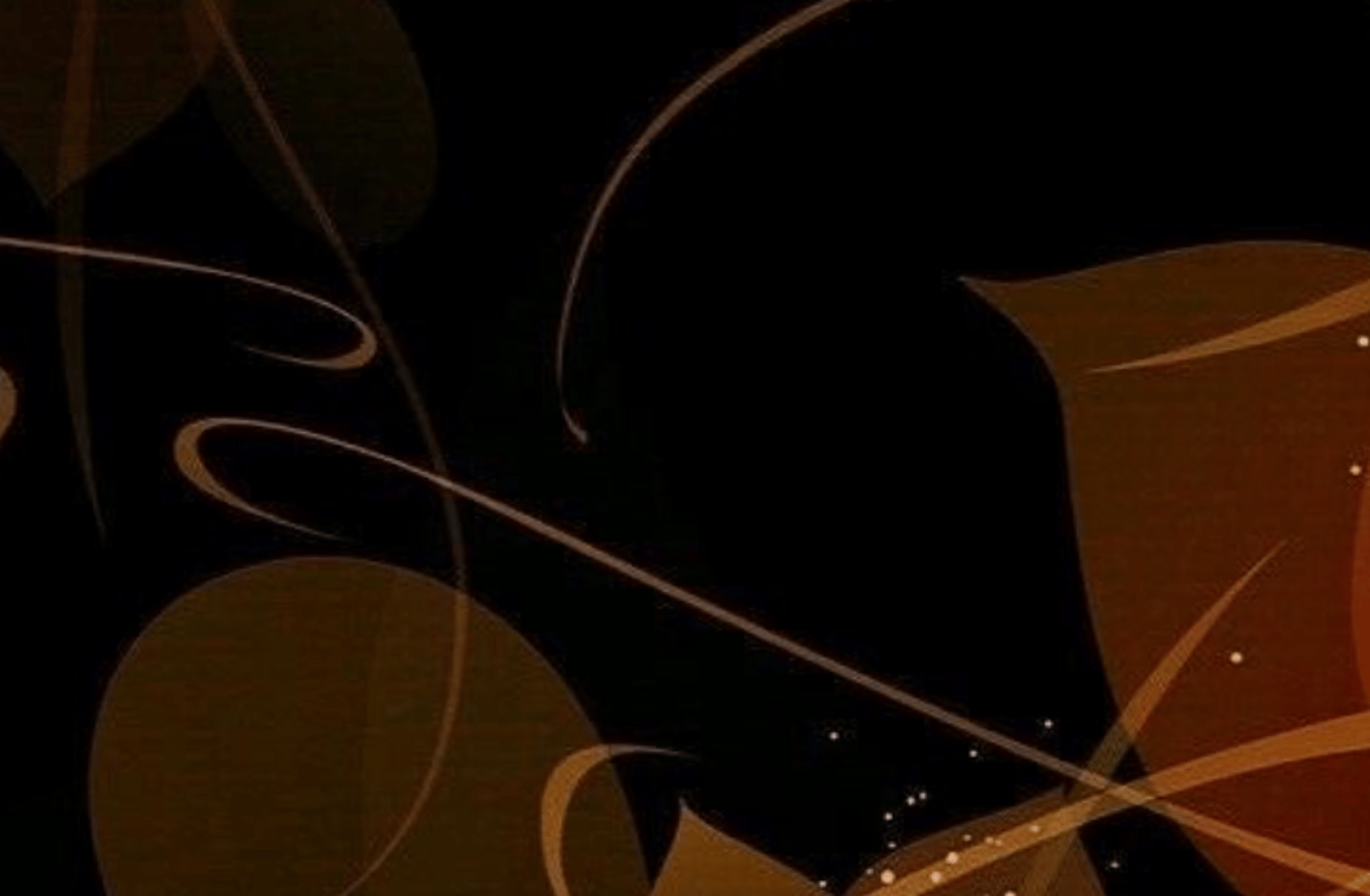 Owner