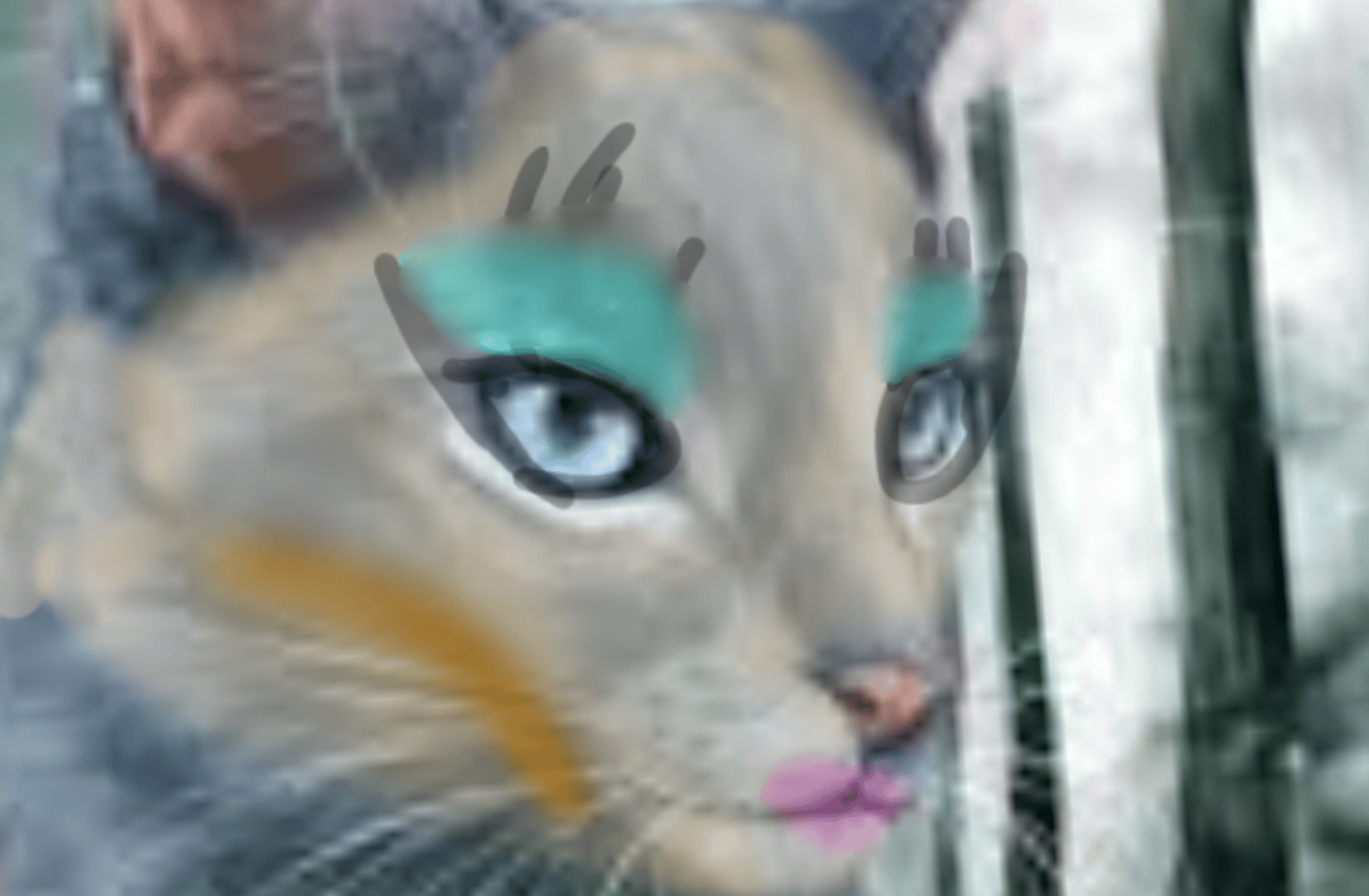 Crookedstar