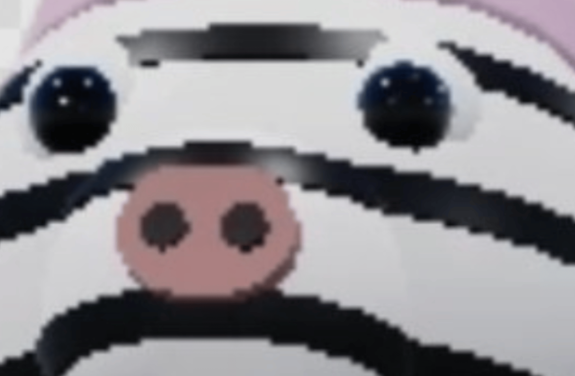Zee(piggy)