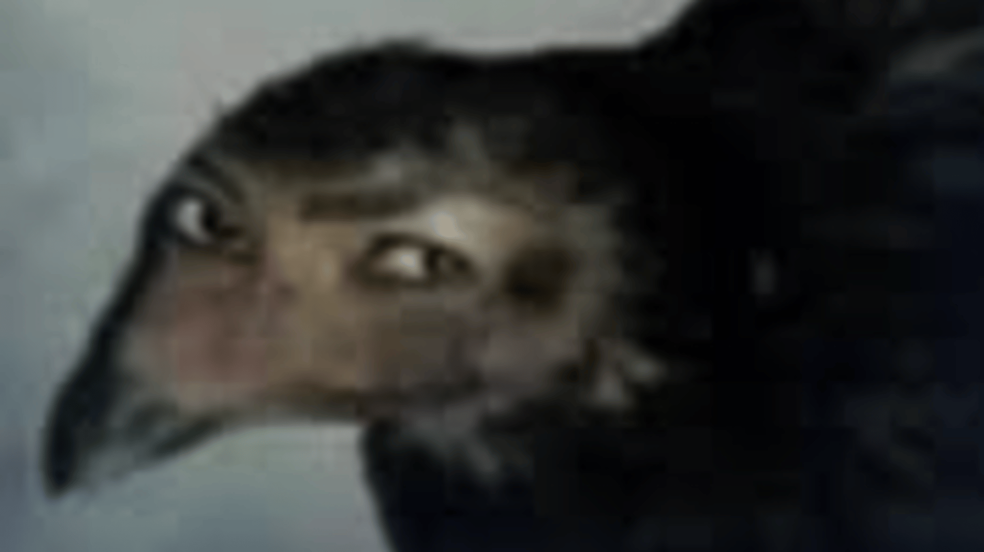Tisha (vore)
