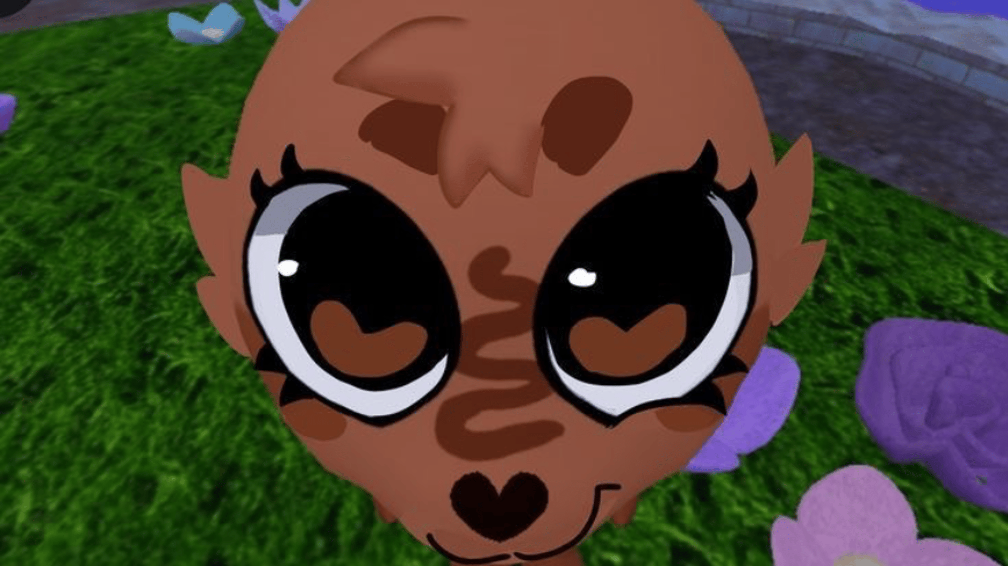 Cocoa