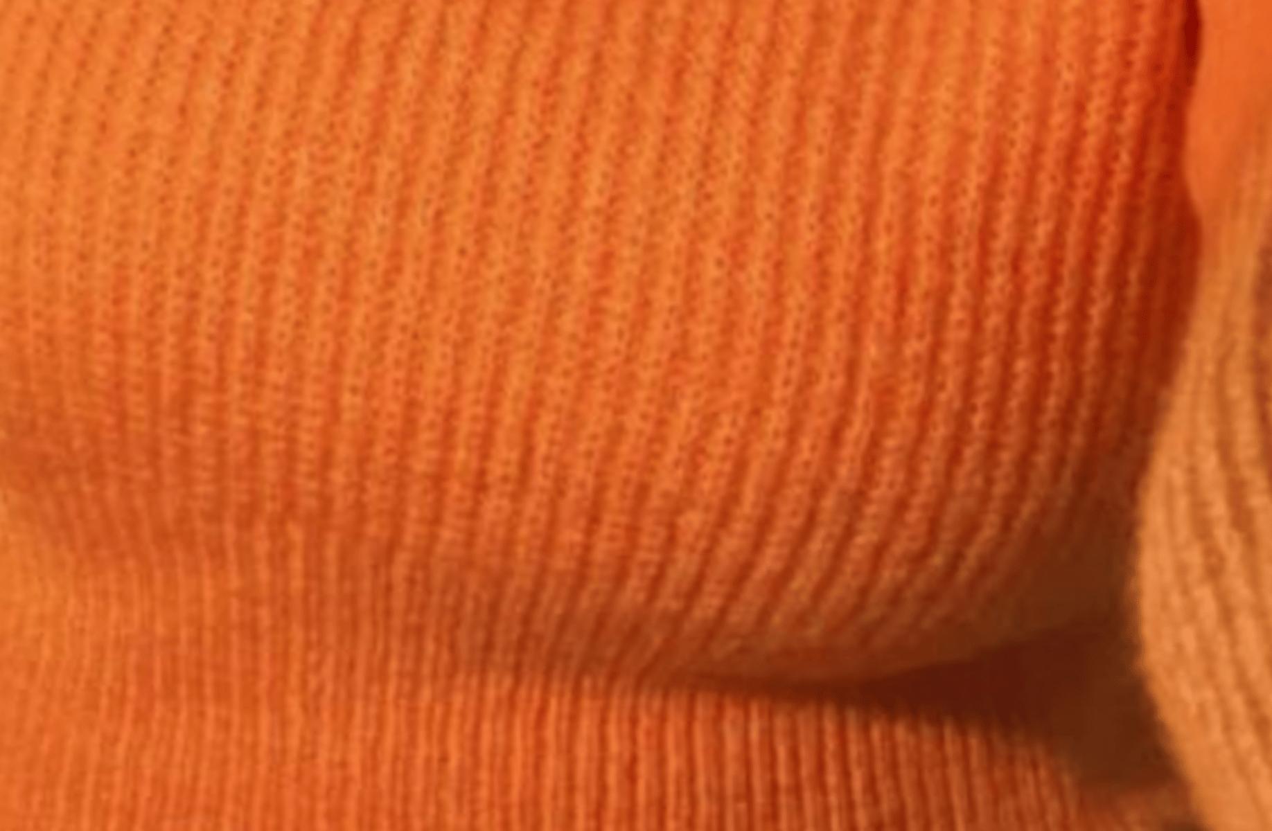 Velma dinkley