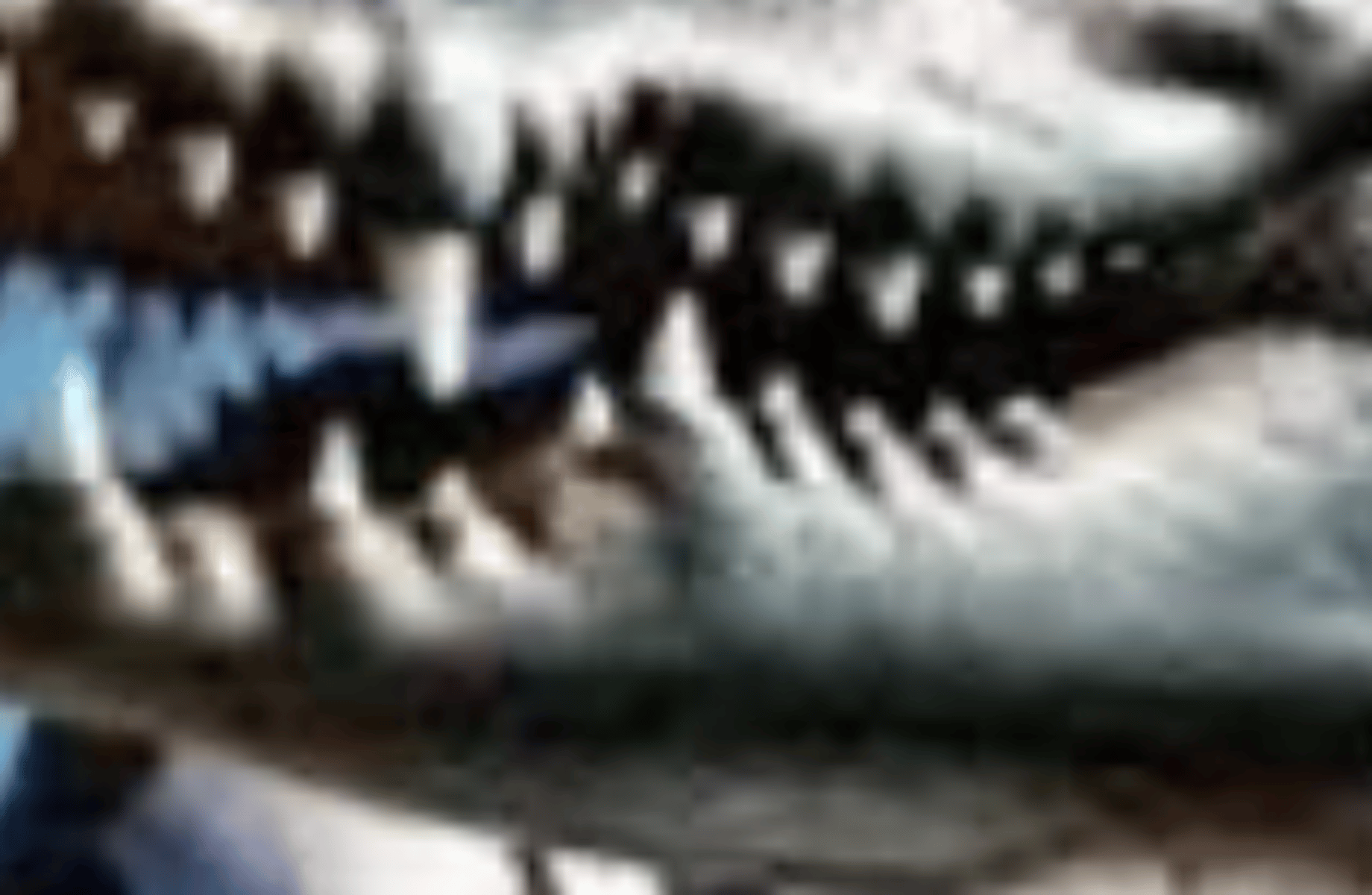 Bombardiro Crocodilo