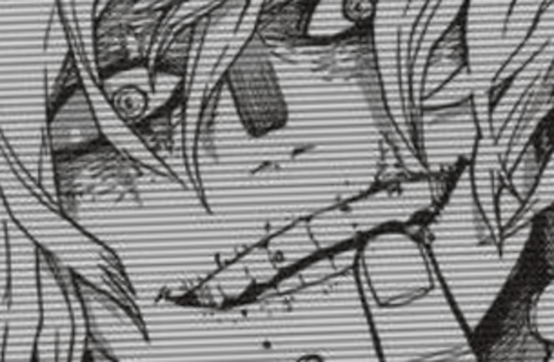 Shigaraki Tomura
