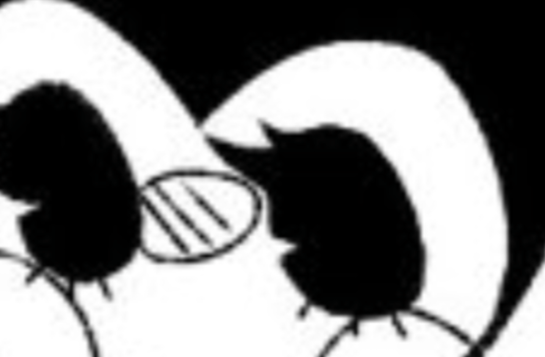Female Bendy